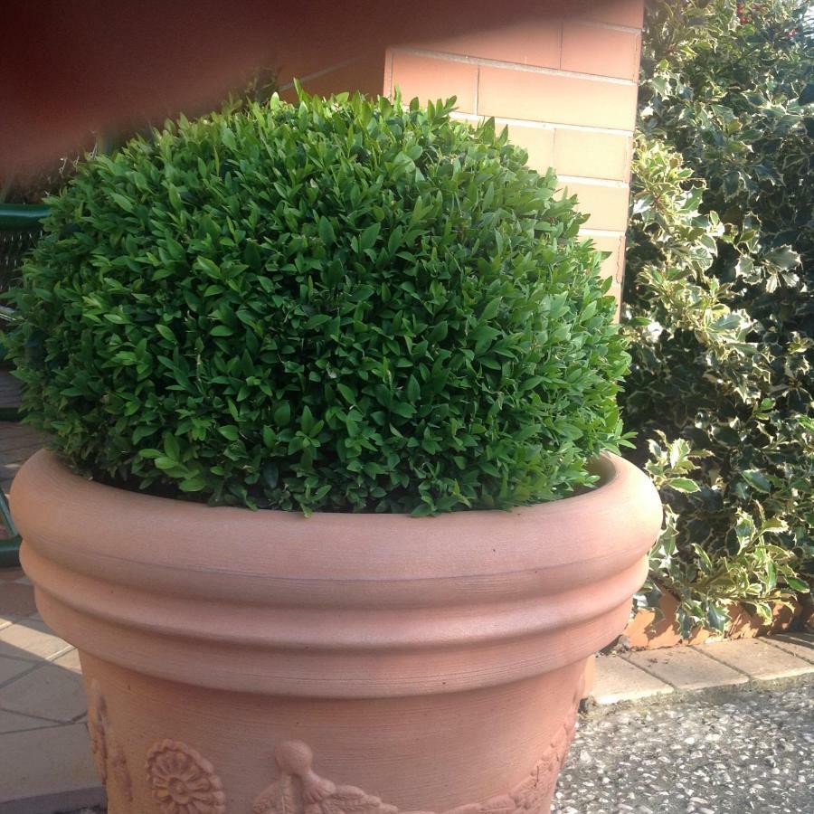 Casale El Galet Apartment Moniga del Garda ภายนอก รูปภาพ